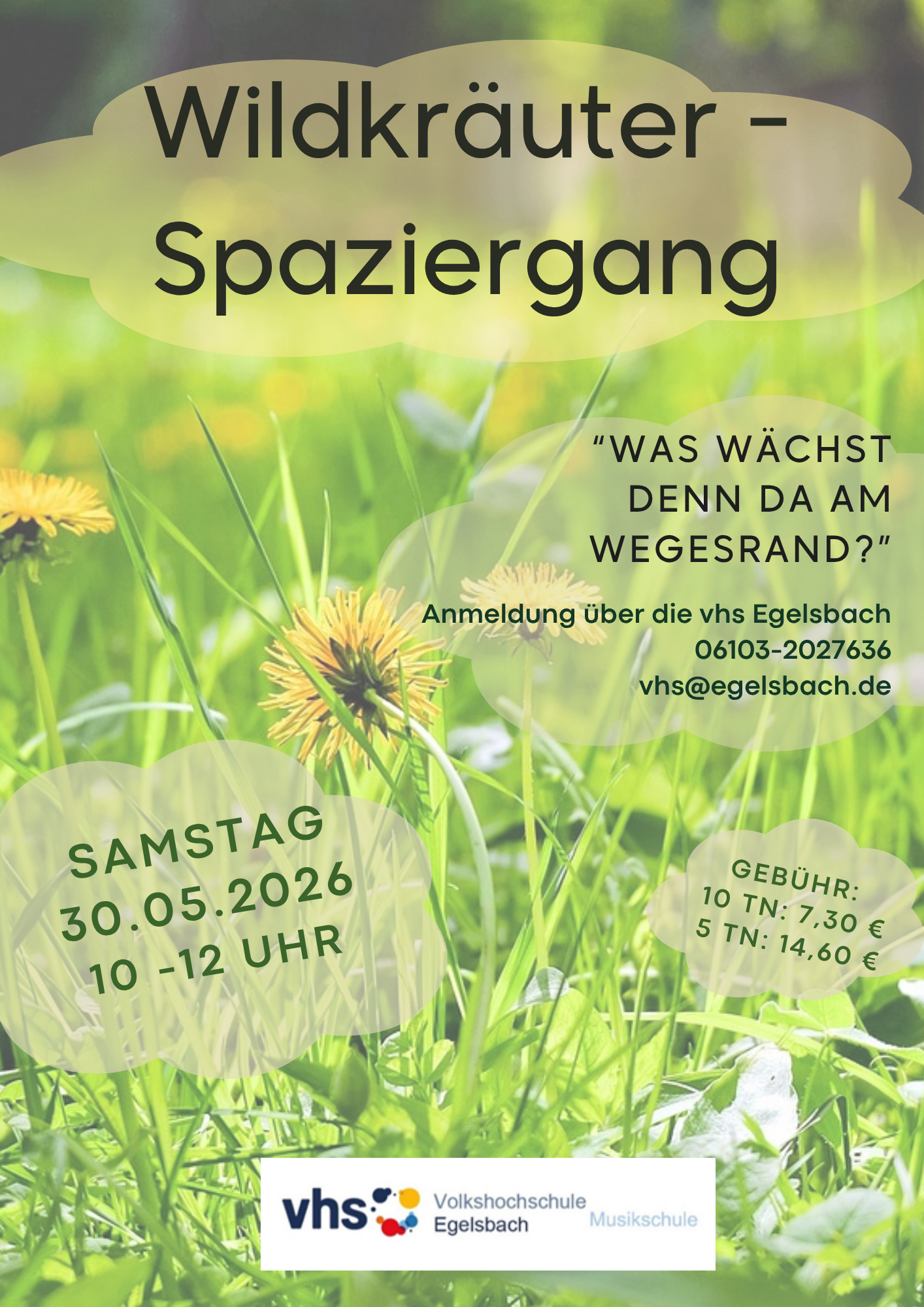 Willdkräuterspaziergang - 1