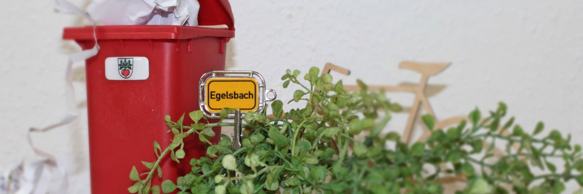 Rote Abfalltonne mit grünem Busch und Ortsschild